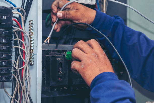 Best Generator Installation Services  in Wyandotte, MI